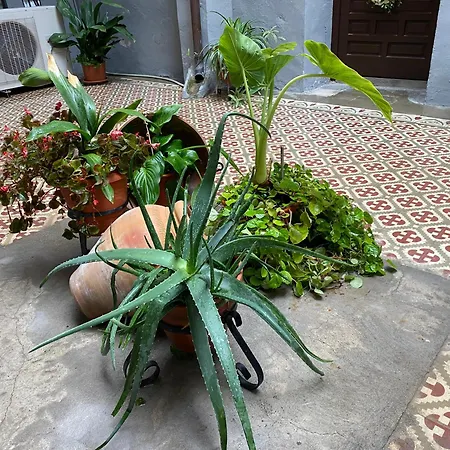 Apartment Santa Leocadia *