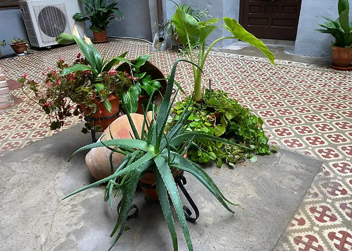 Apartment Santa Leocadia *